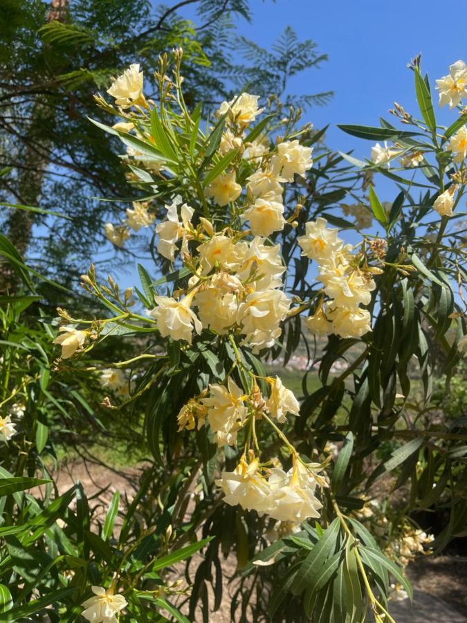 Finca Limoneros Διαμέρισμα Alora Εξωτερικό φωτογραφία